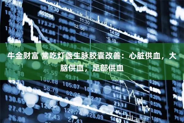 牛金财富 常吃灯盏生脉胶囊改善：心脏供血，大脑供血，足部供血