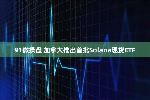 91微操盘 加拿大推出首批Solana现货ETF