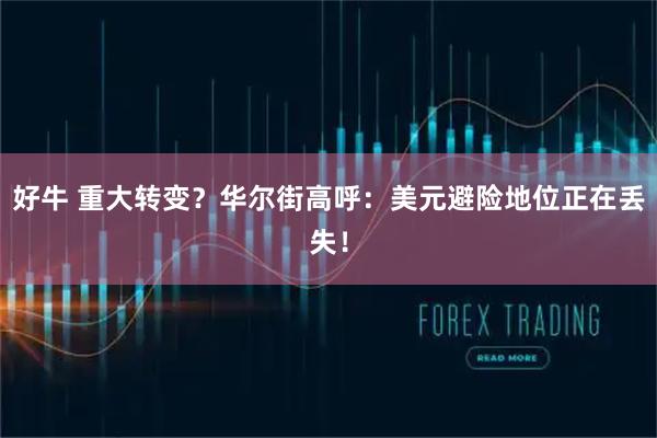 好牛 重大转变？华尔街高呼：美元避险地位正在丢失！
