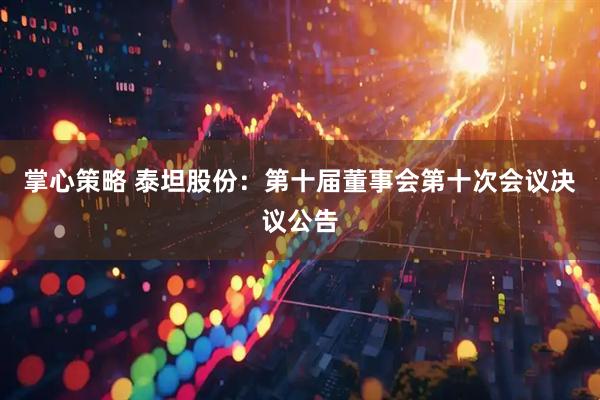 掌心策略 泰坦股份：第十届董事会第十次会议决议公告