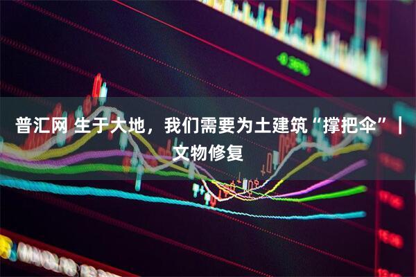 普汇网 生于大地，我们需要为土建筑“撑把伞”｜文物修复