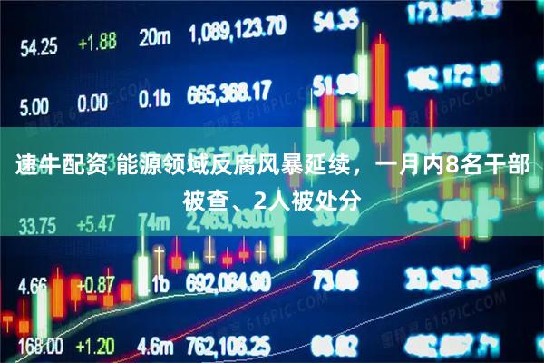 速牛配资 能源领域反腐风暴延续，一月内8名干部被查、2人被处分