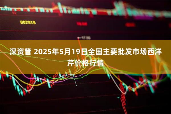 深资管 2025年5月19日全国主要批发市场西洋芹价格行情