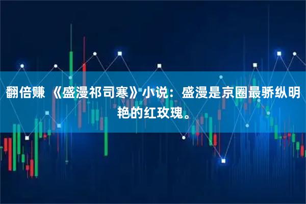 翻倍赚 《盛漫祁司寒》小说：盛漫是京圈最骄纵明艳的红玫瑰。